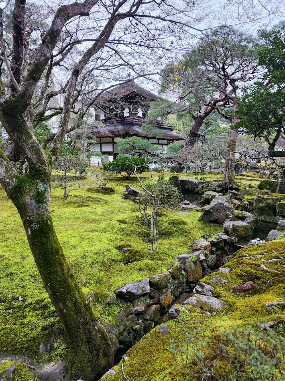 a moss covered field with a building in the background