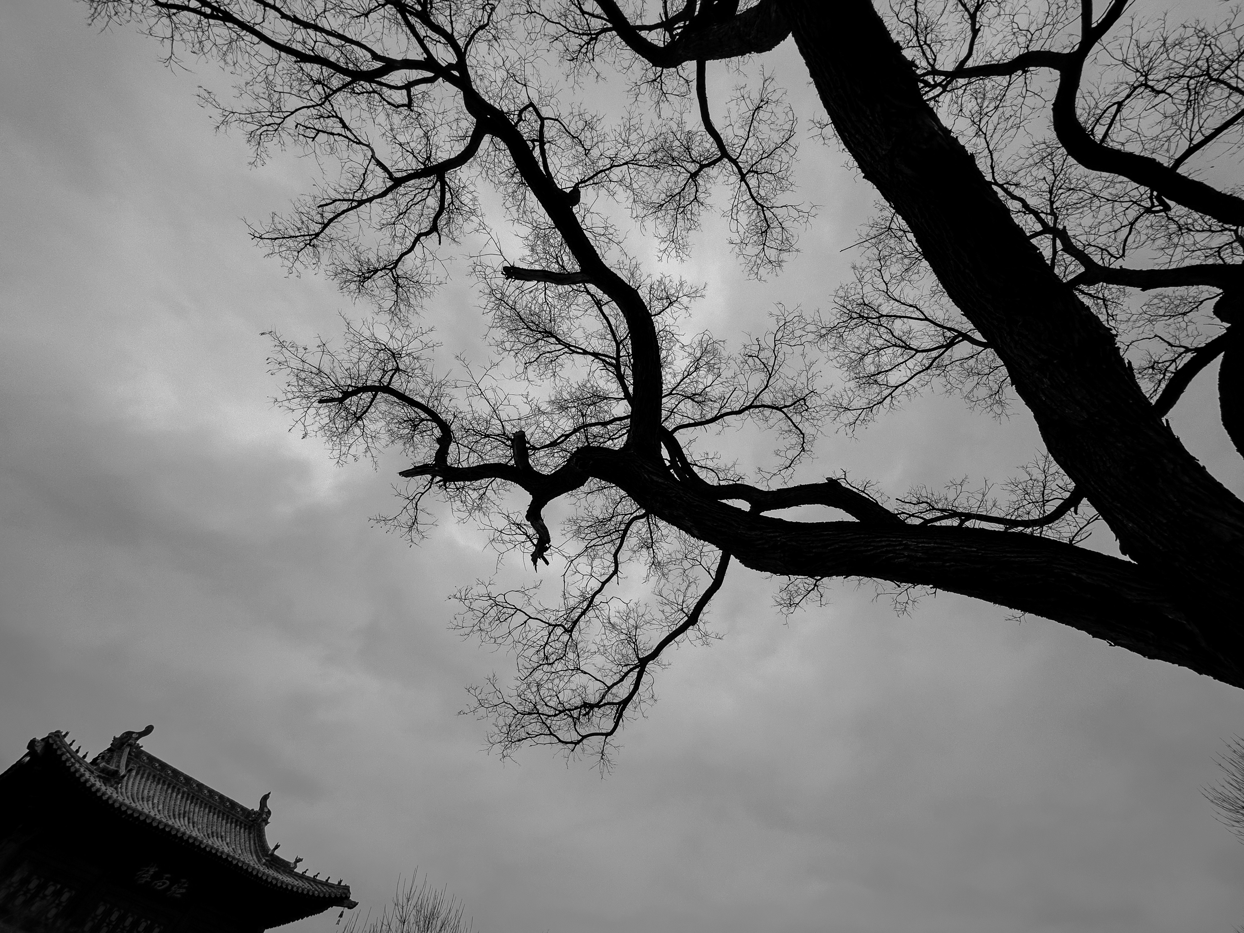 Photo by skzhao