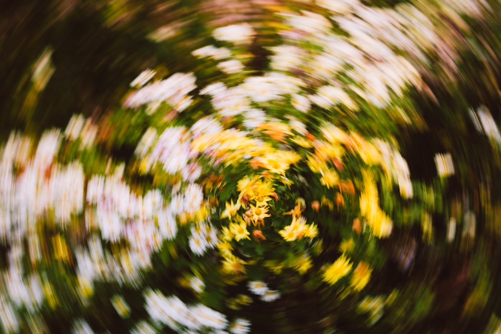 a circular image of flowers in the middle of the image