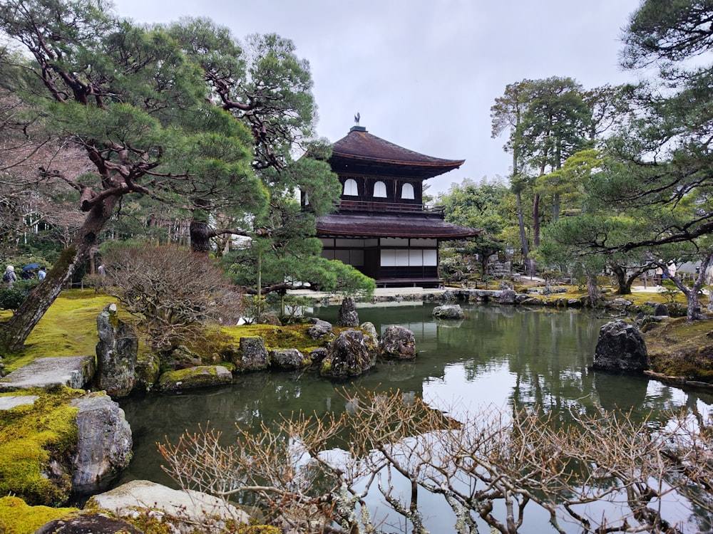 a small pond surrounded by rocks and trees