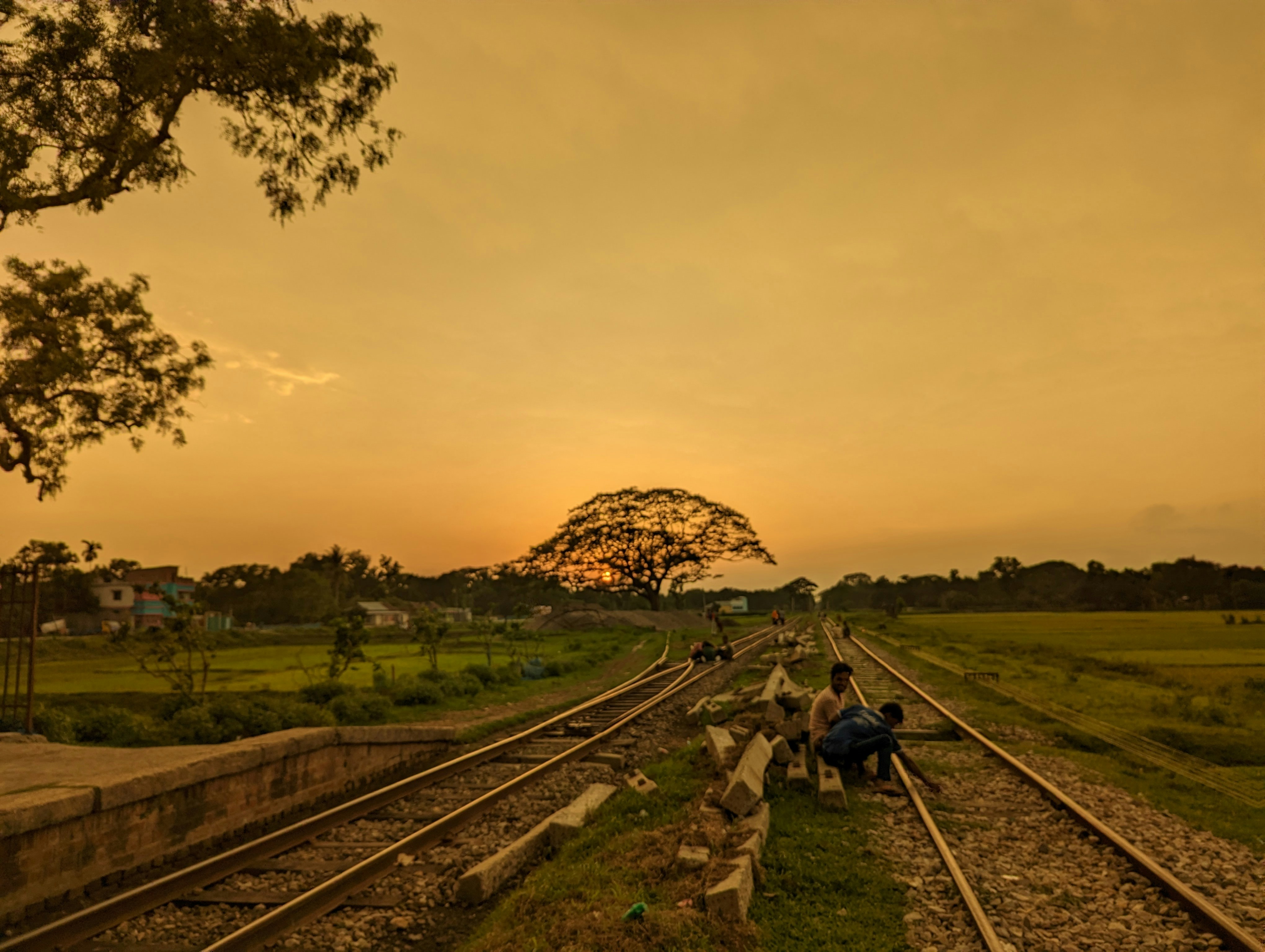 Understanding Bangladesh Domestic Train System for Independent Travelers