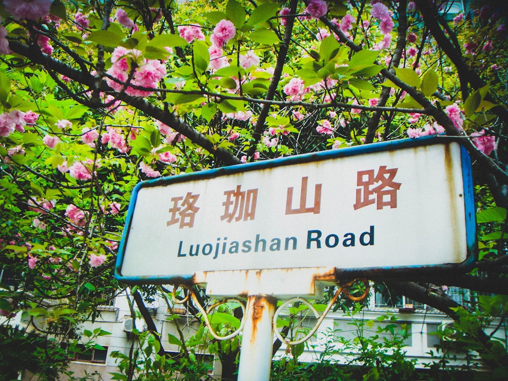 a street sign in front of a tree with pink flowers