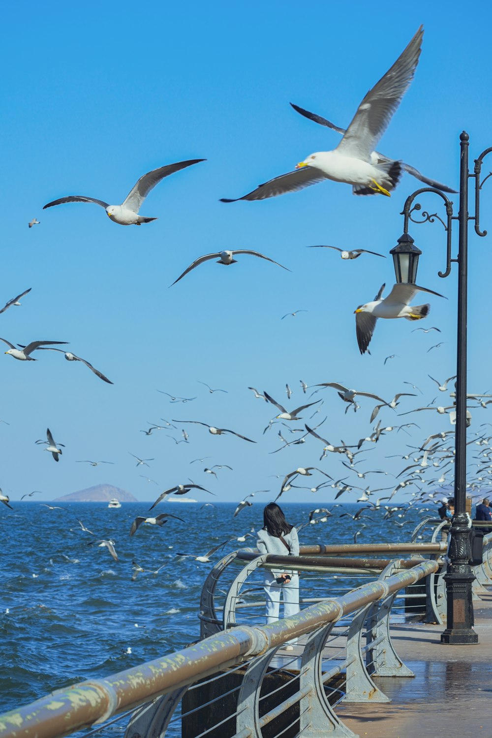 a flock of seagulls flying over the ocean next to a pier