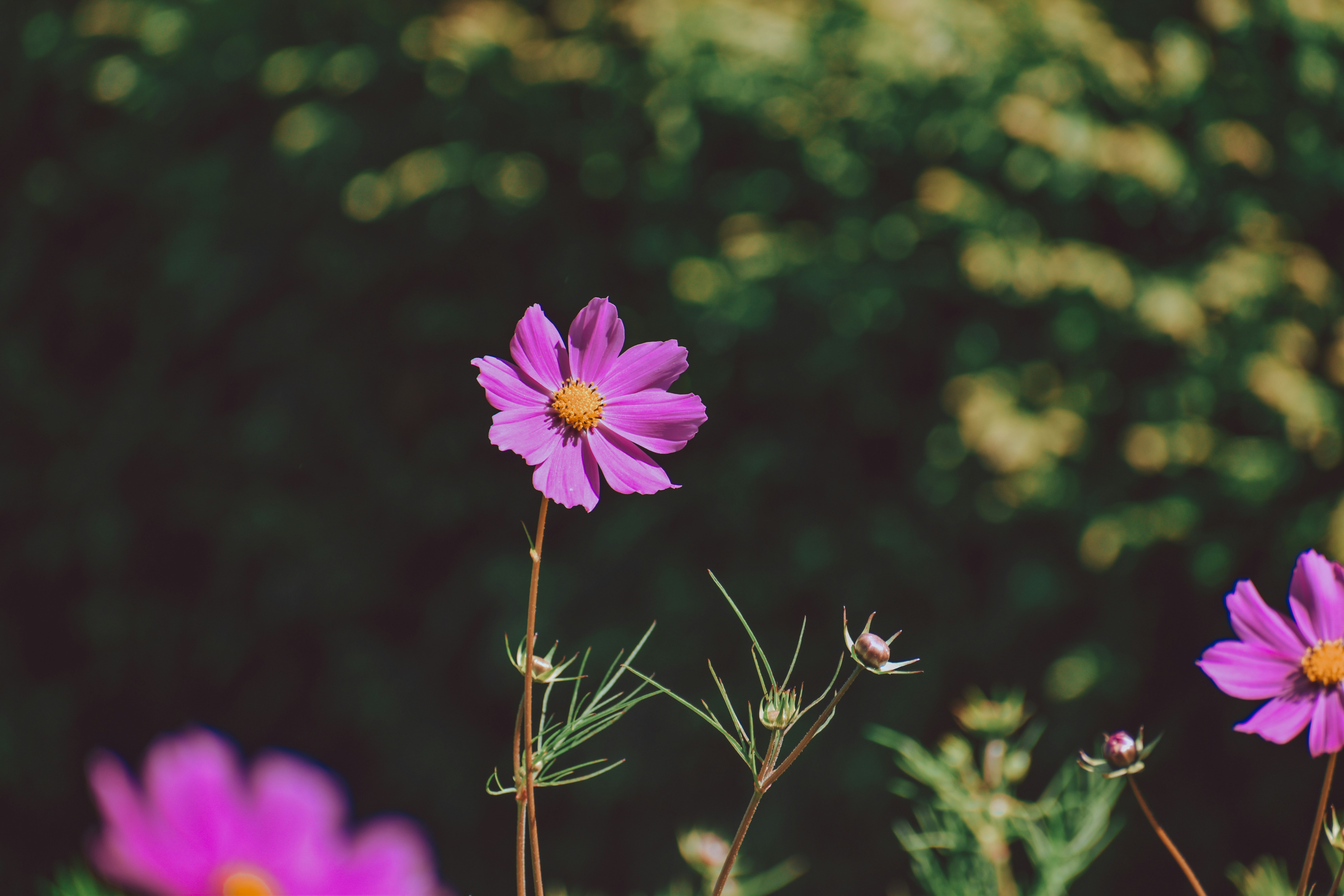 Photo by ariyan_photography