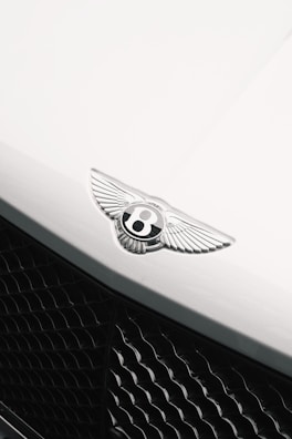 Machine polishing exotic car to refine paint and restore gloss