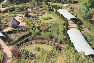 an aerial view of a garden with a train on the tracks