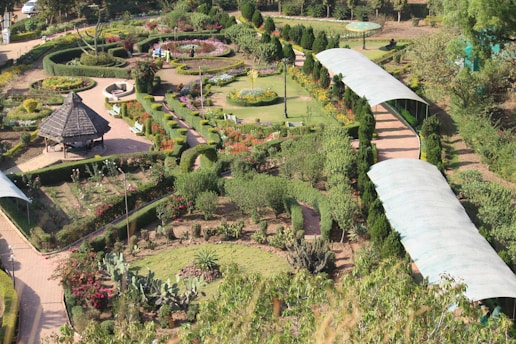 an aerial view of a garden with a train on the tracks