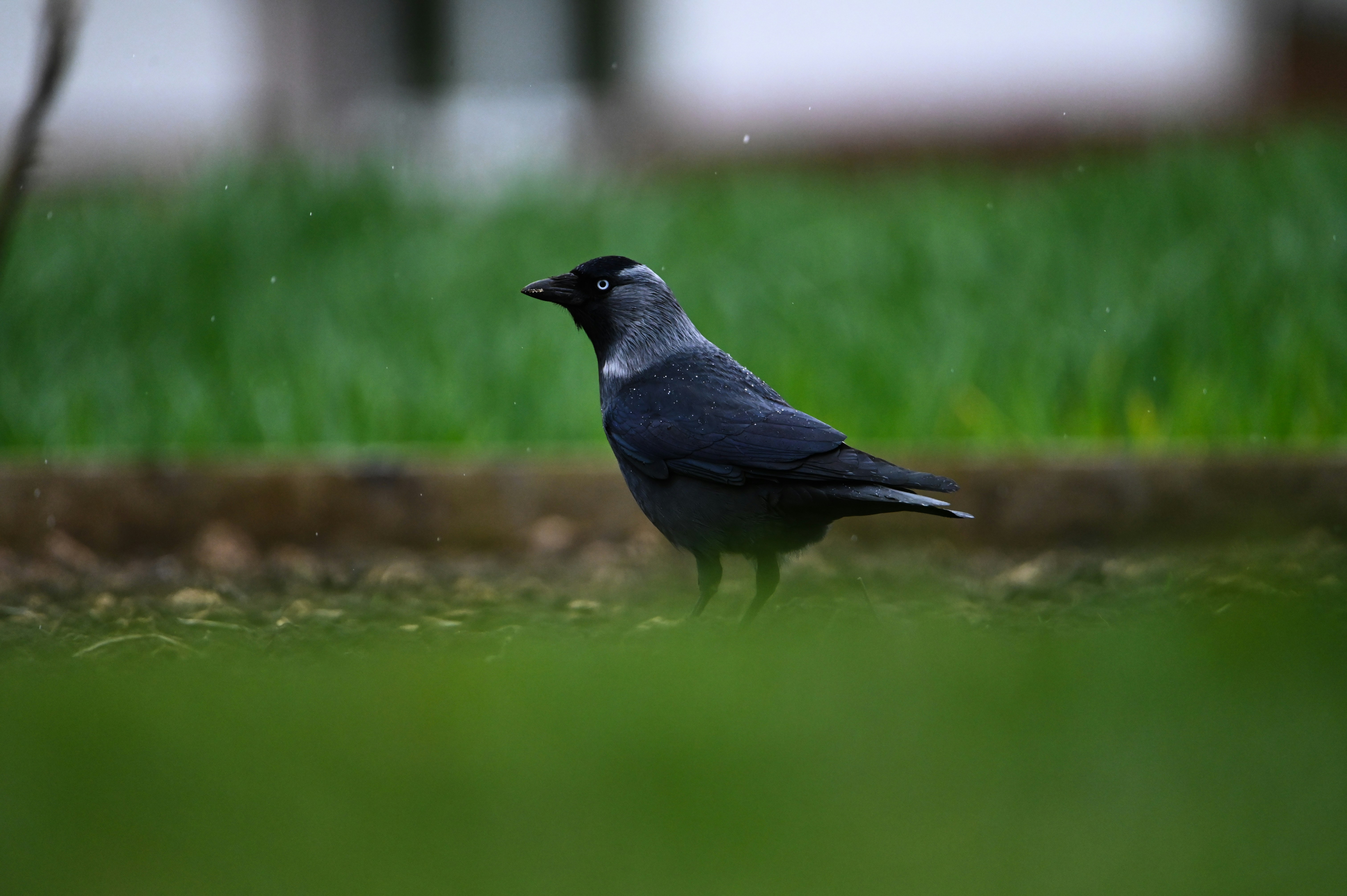 Photo by ad_sportfotograf