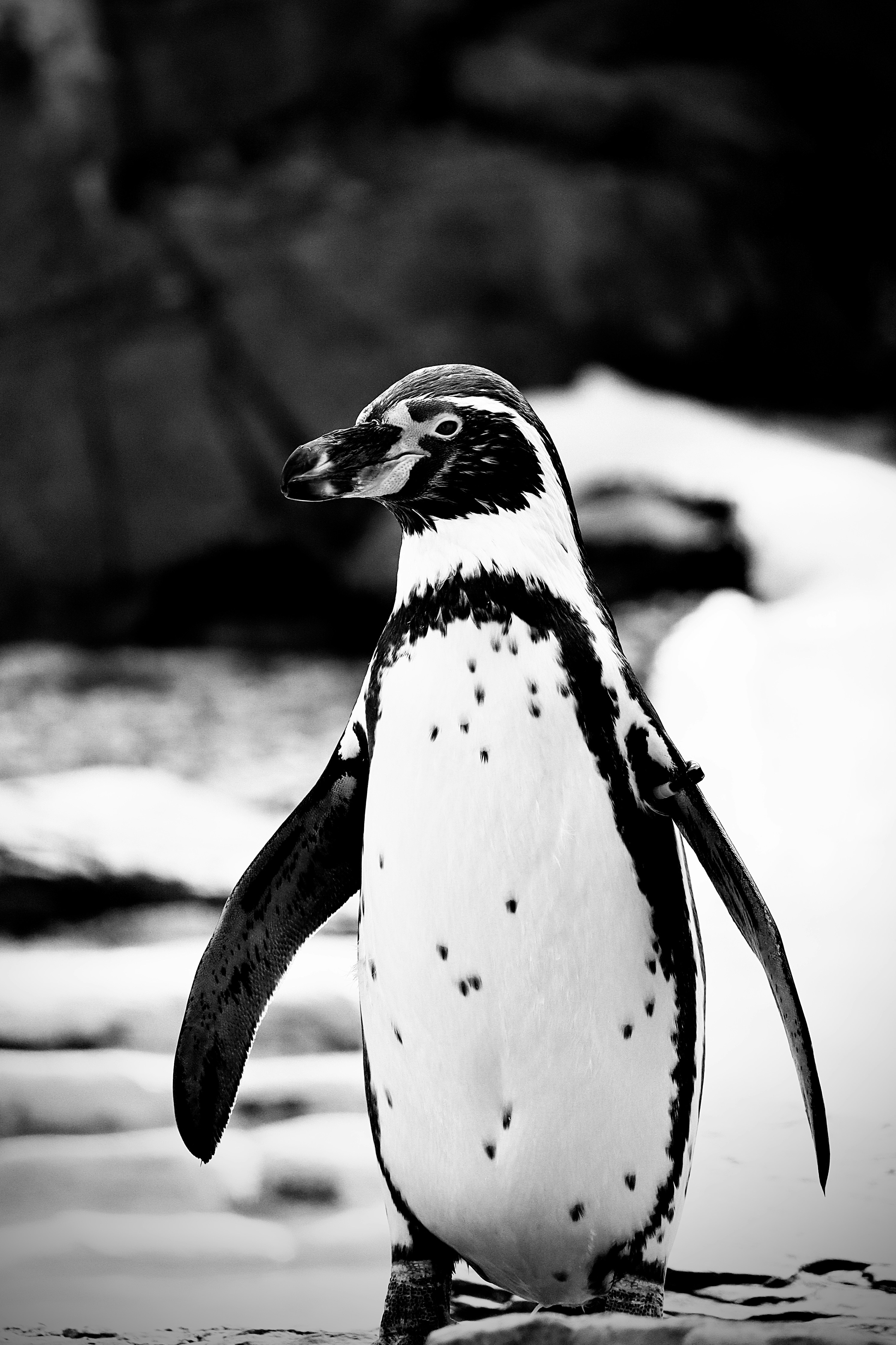 Photo by johnnygthorpe11