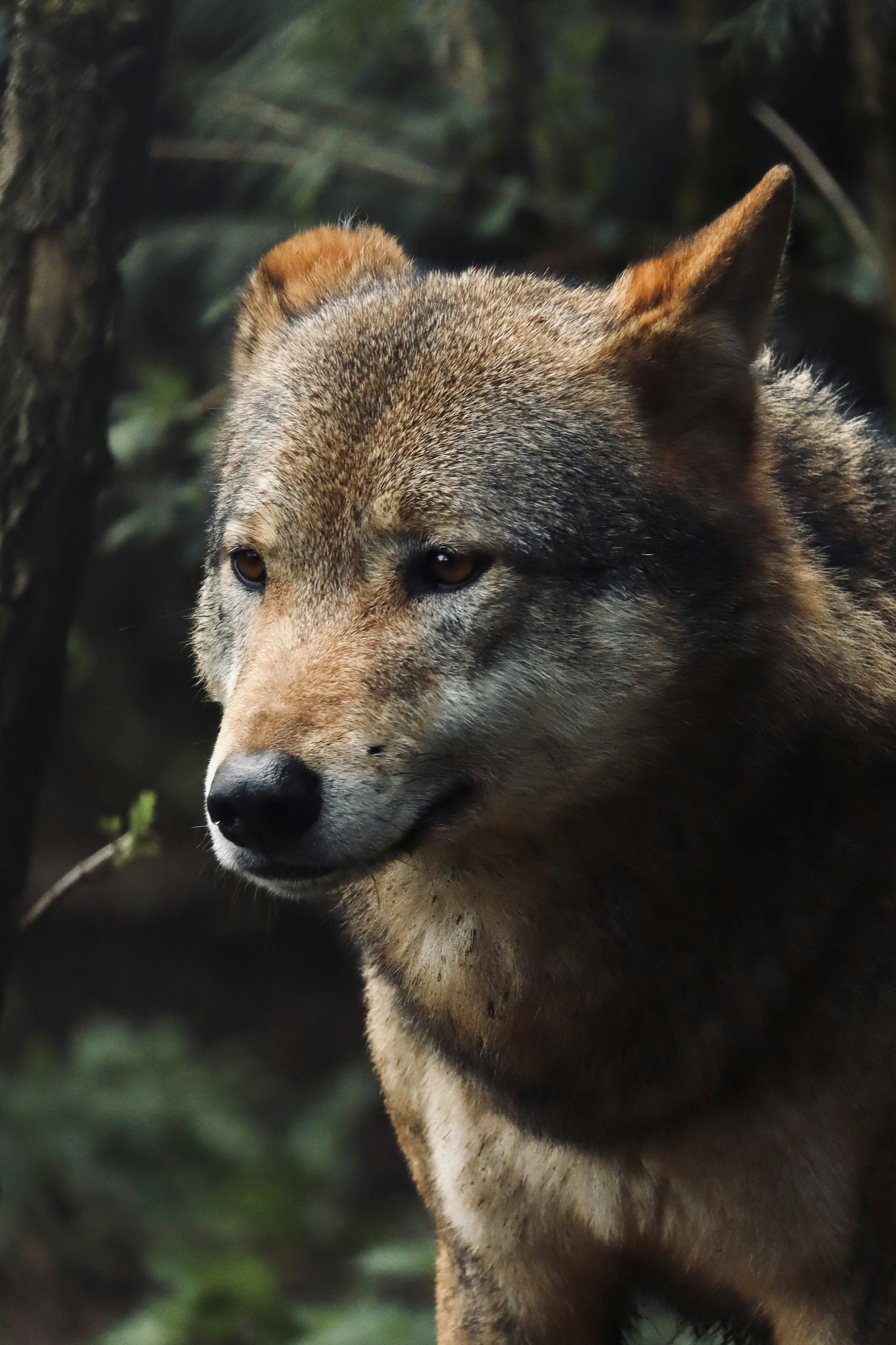 Photo by johnnygthorpe11