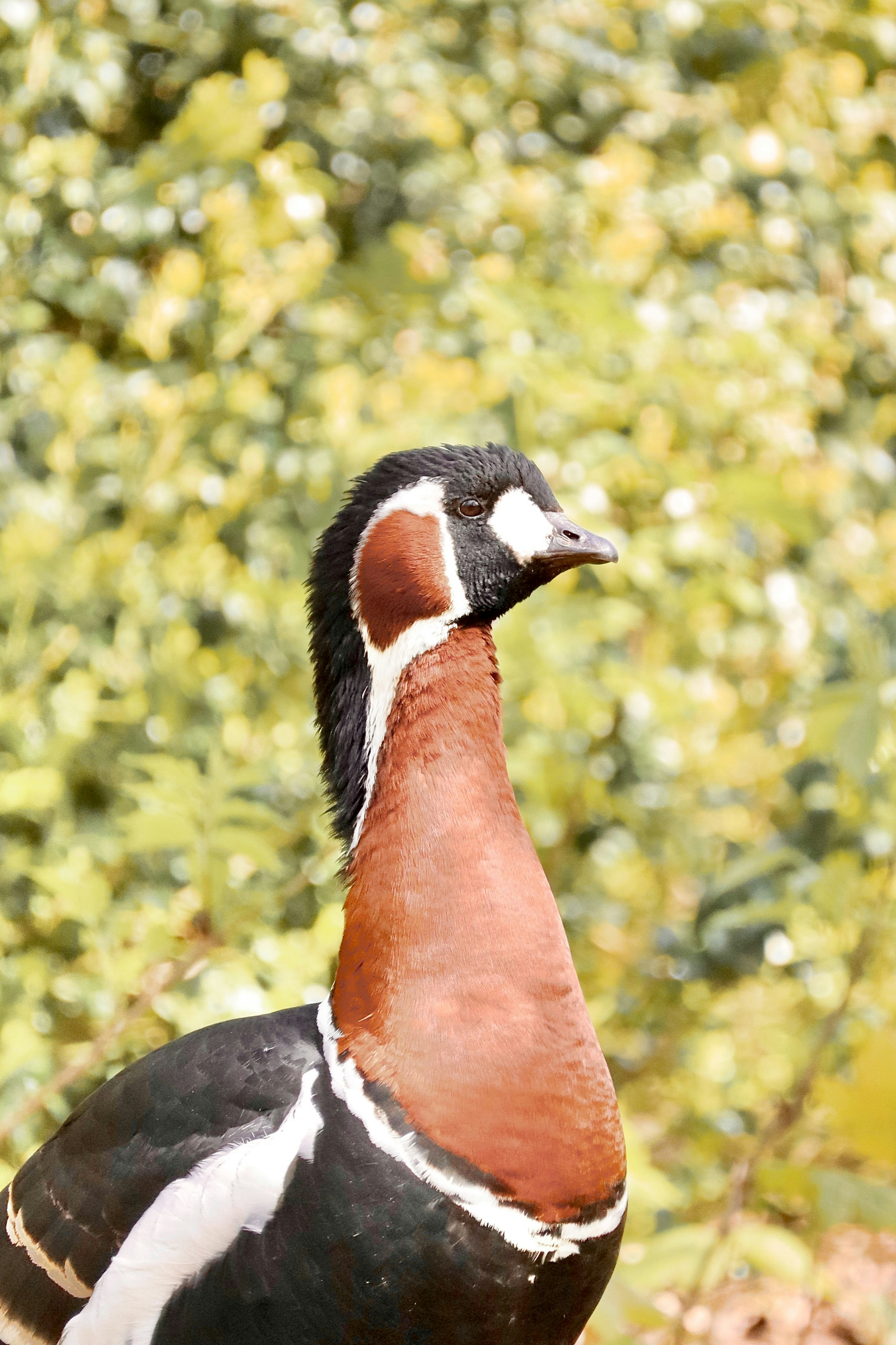 Photo by johnnygthorpe11