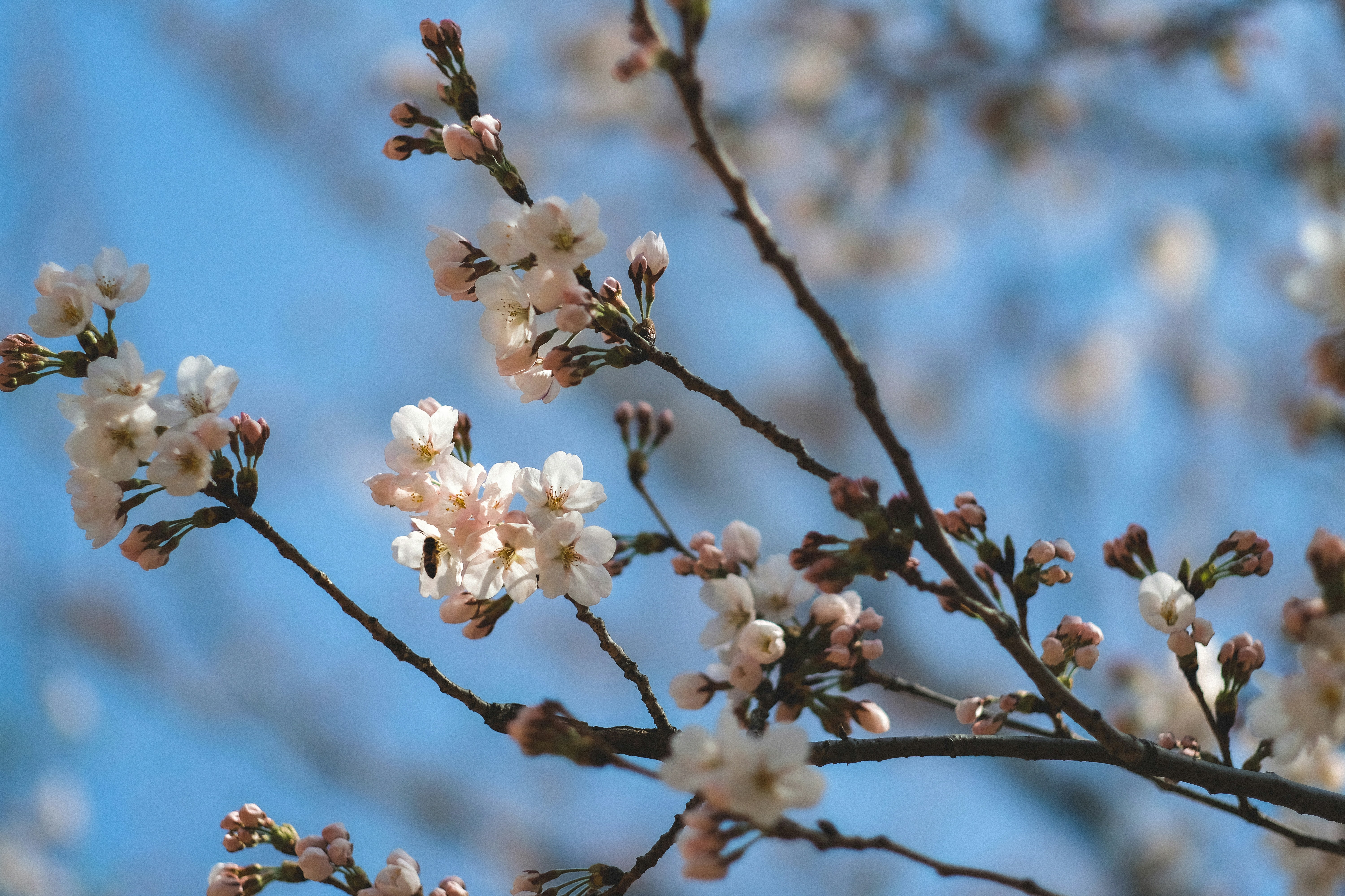 Photo by hanyiseul