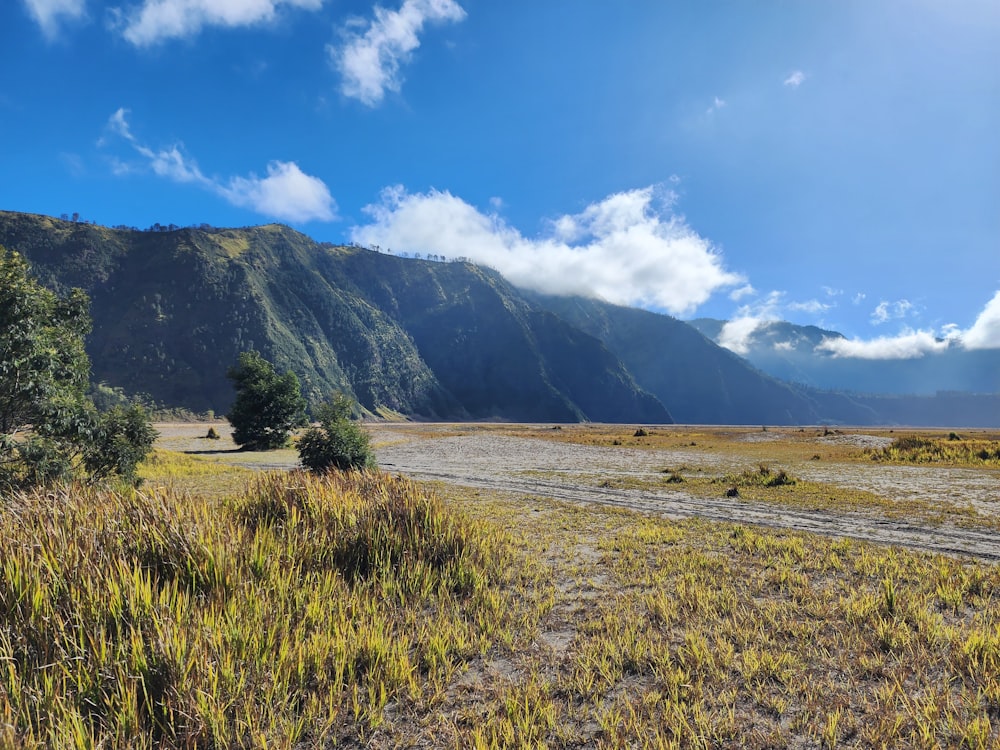 a dirt road in the middle of a mountain range