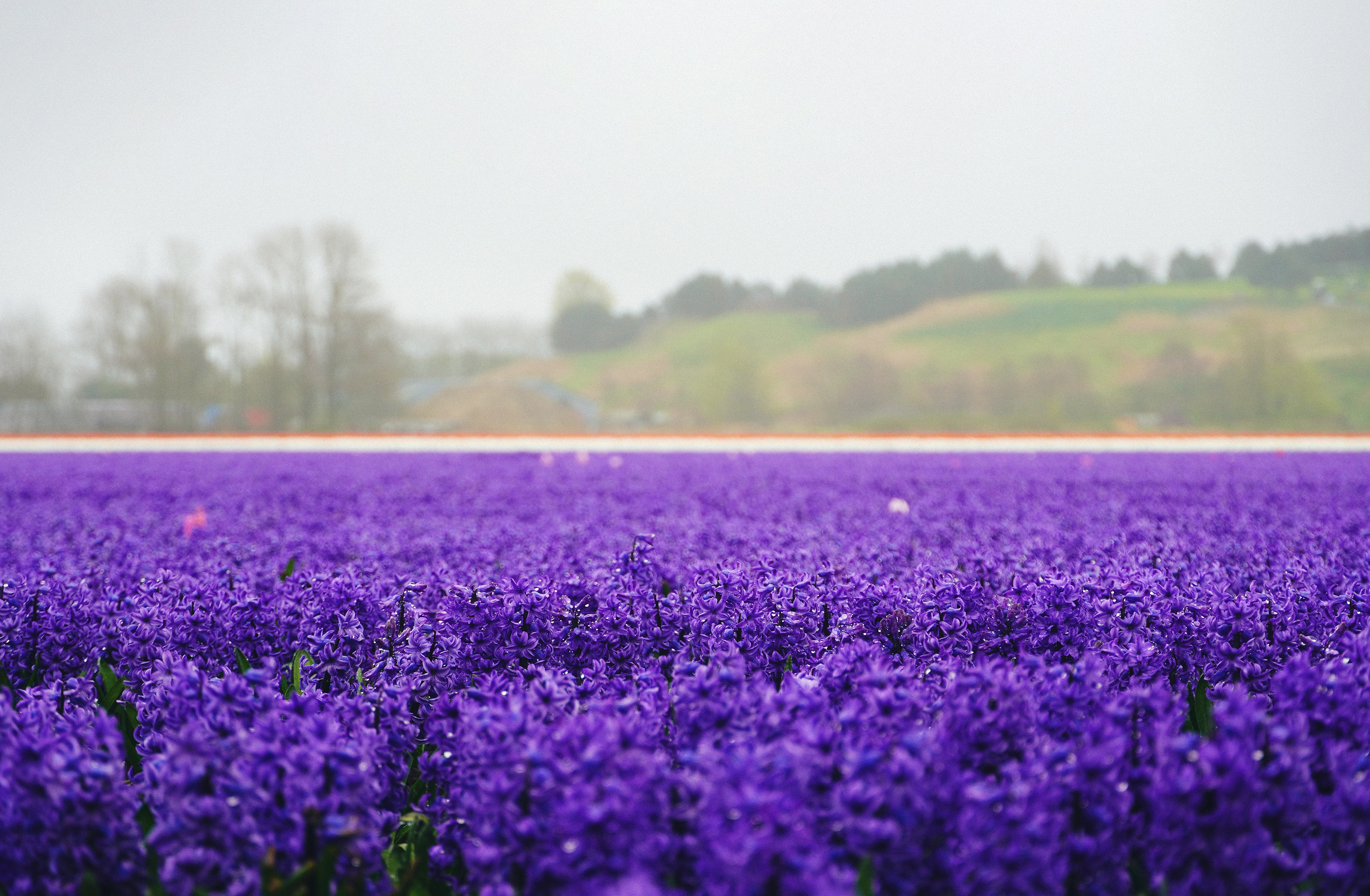 Photo by tolikrurac82