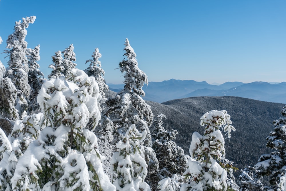 snow covered trees on a mountain with mountains in the background