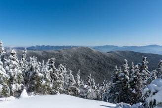 a view of a snowy mountain with trees in the foreground