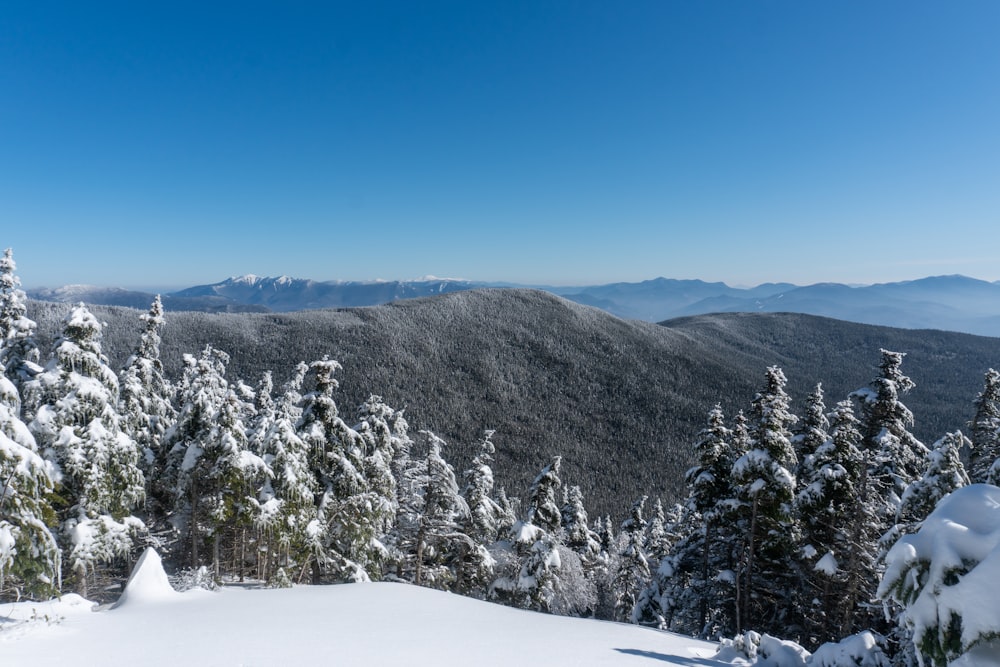 a view of a snowy mountain with trees in the foreground