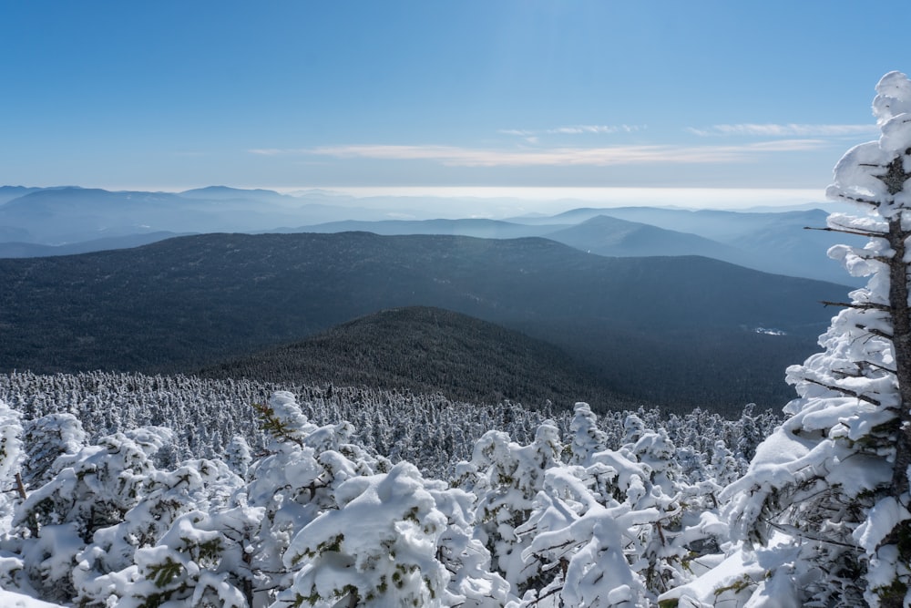 a view of the mountains covered in snow