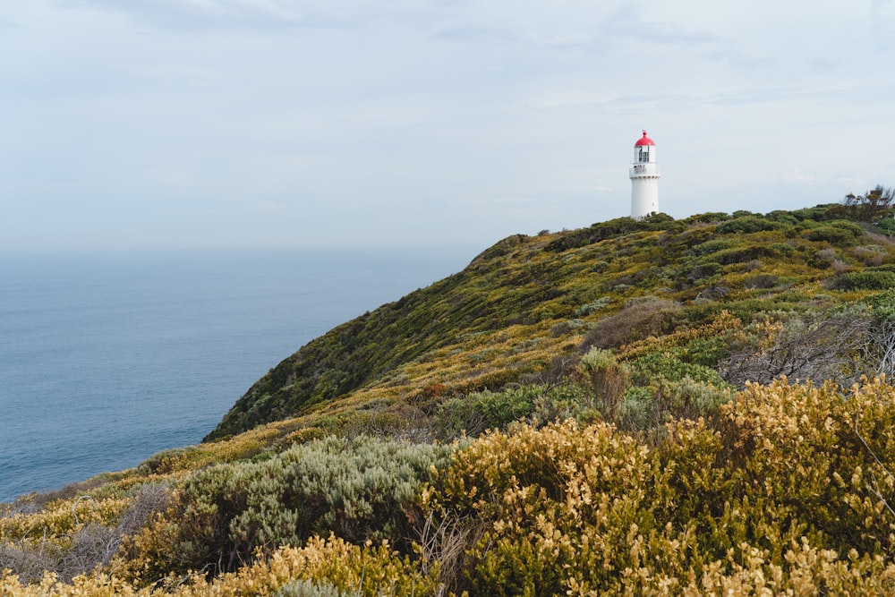 a lighthouse on top of a hill with a body of water in the background