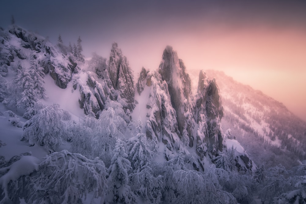 a mountain covered in snow covered trees