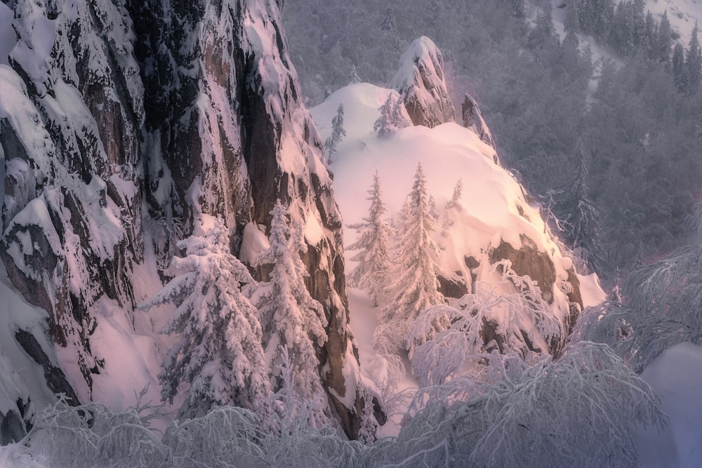 a mountain covered in snow next to a forest