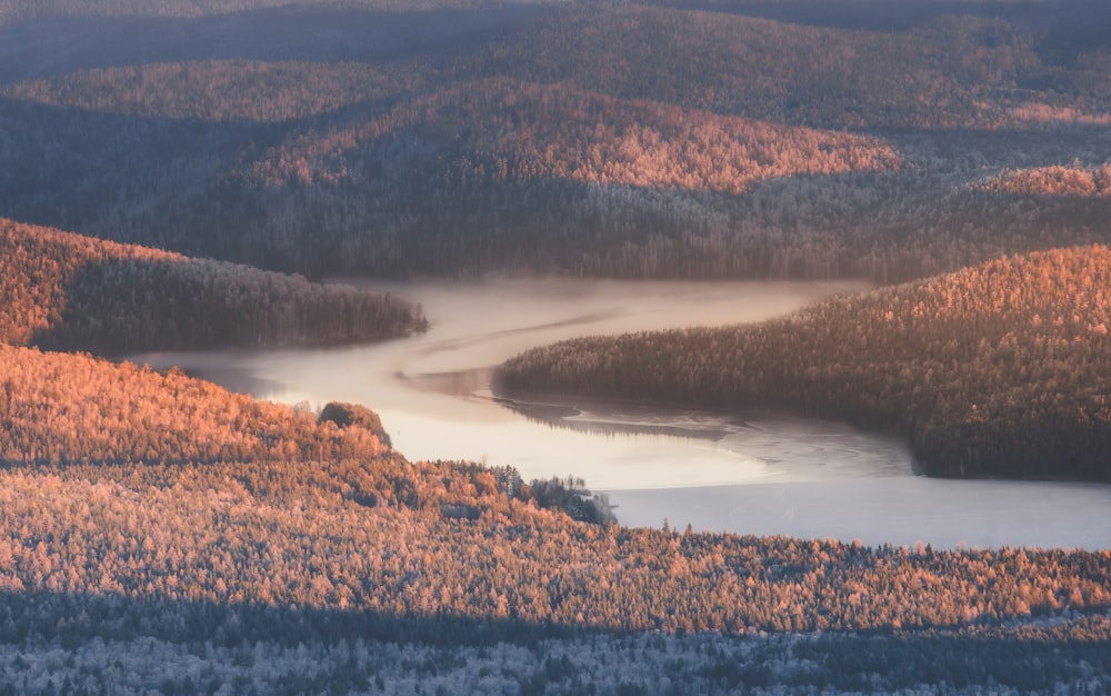 a view of a lake surrounded by trees