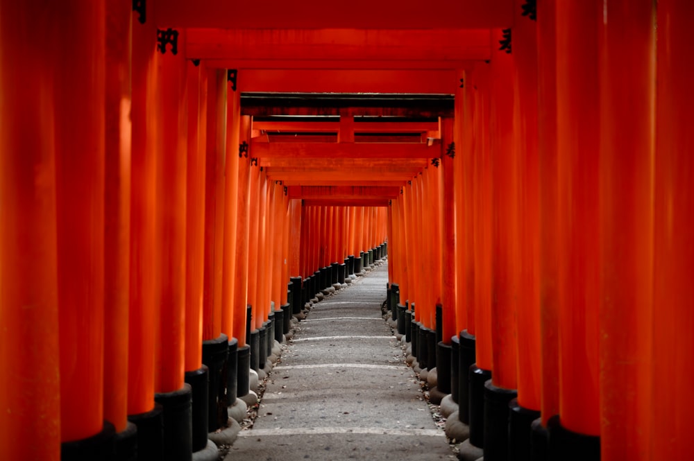 a long line of red pillars with black posts