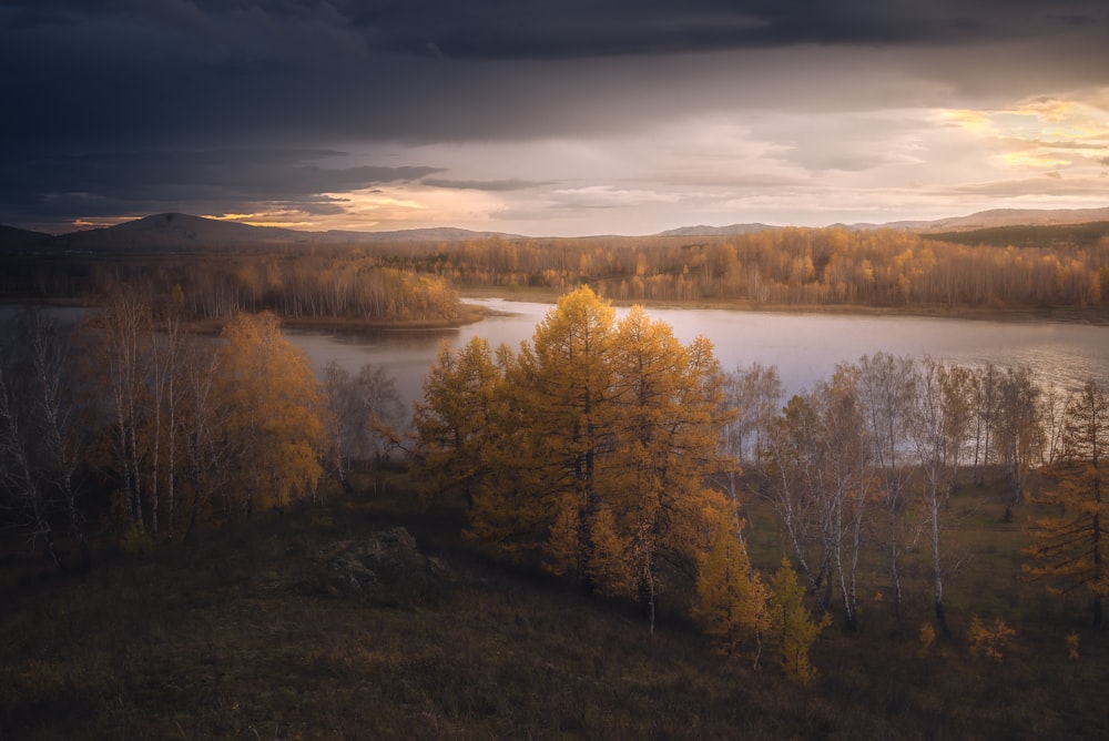 a large body of water surrounded by trees