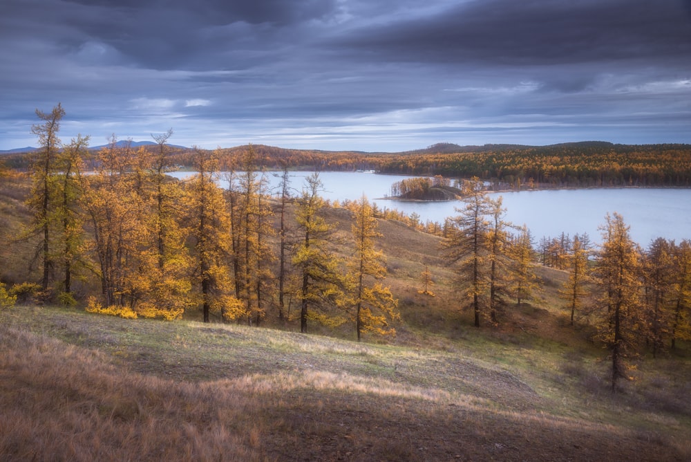 a scenic view of a lake surrounded by trees