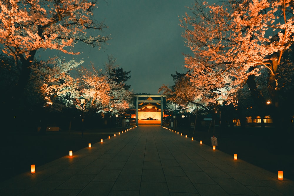 a walkway lined with lit candles and trees