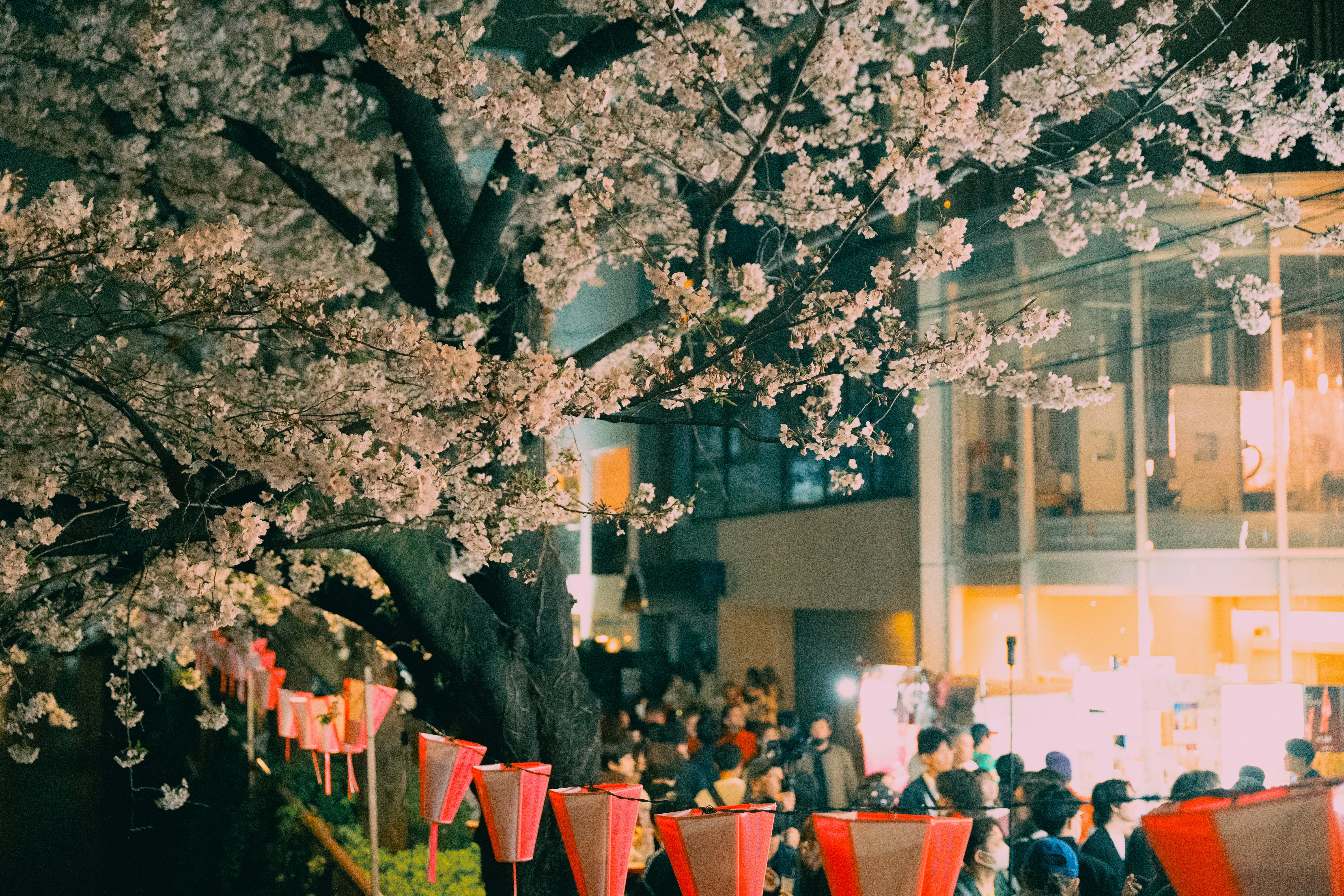 a group of people sitting at tables under a tree, 