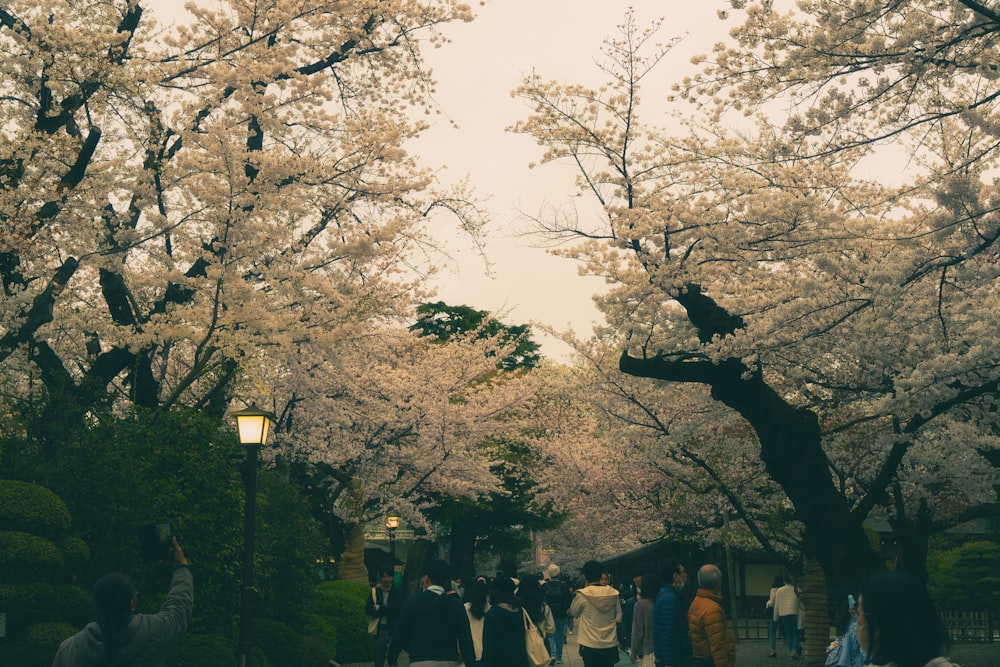 a group of people walking through a park