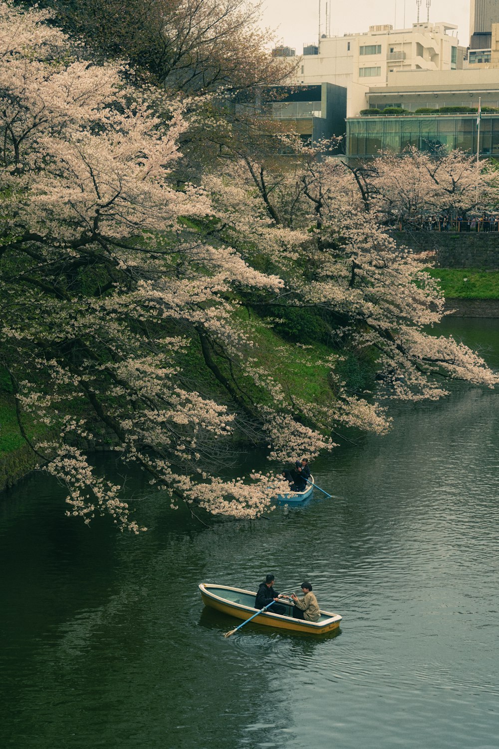 a couple of people in a small boat on a river