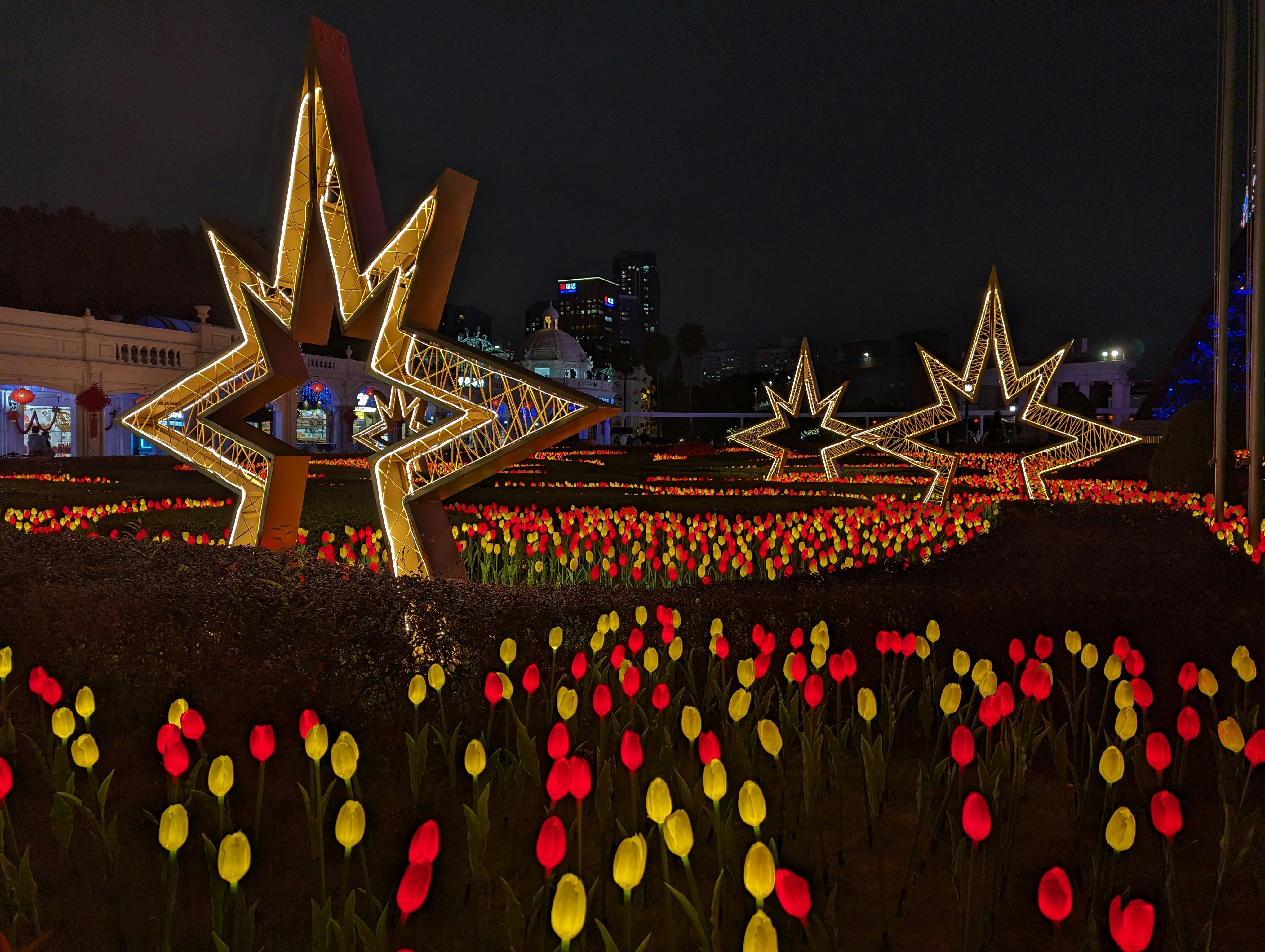 a field of tulips and other flowers lit up at night