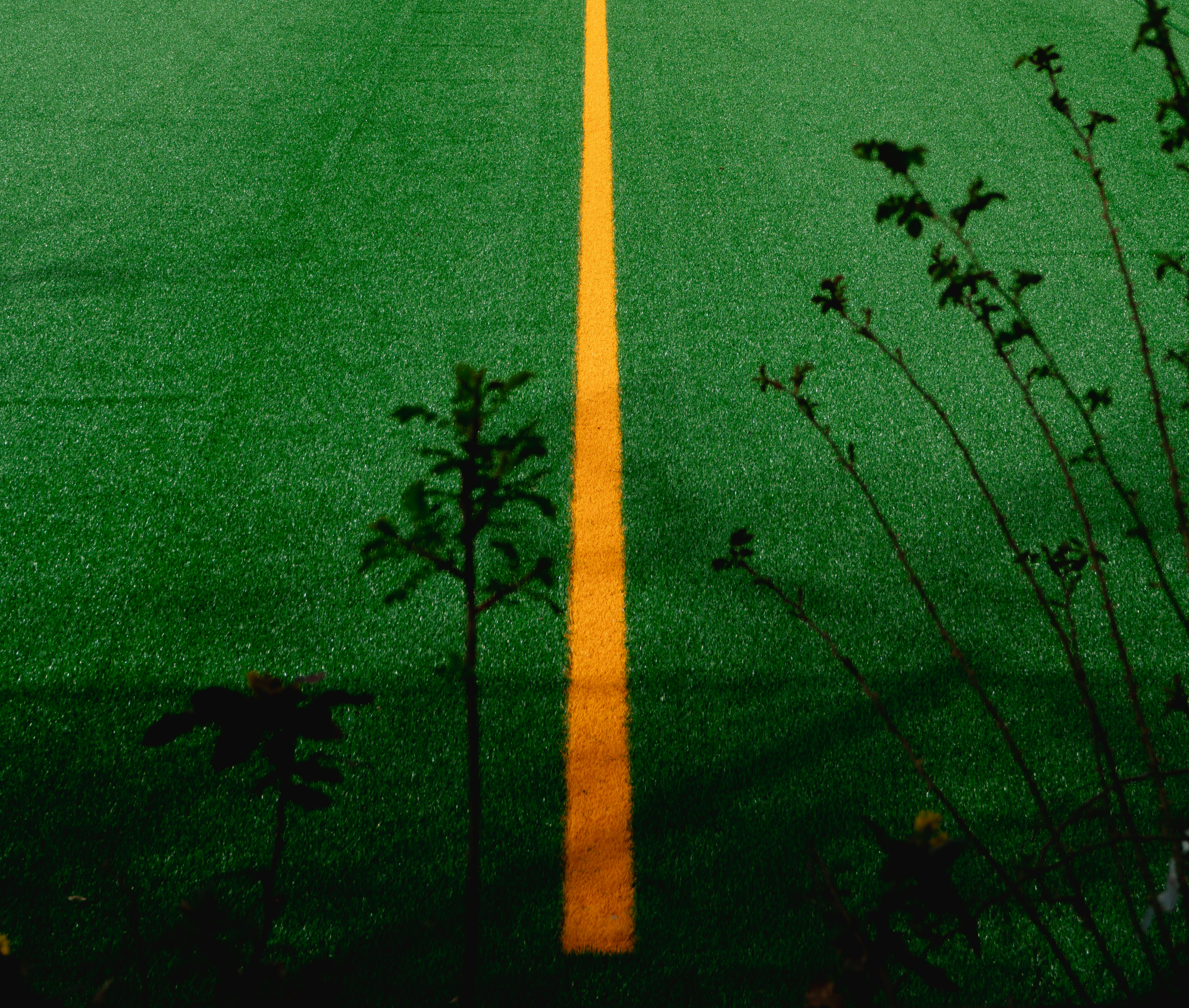 a yellow line on a green asphalt road