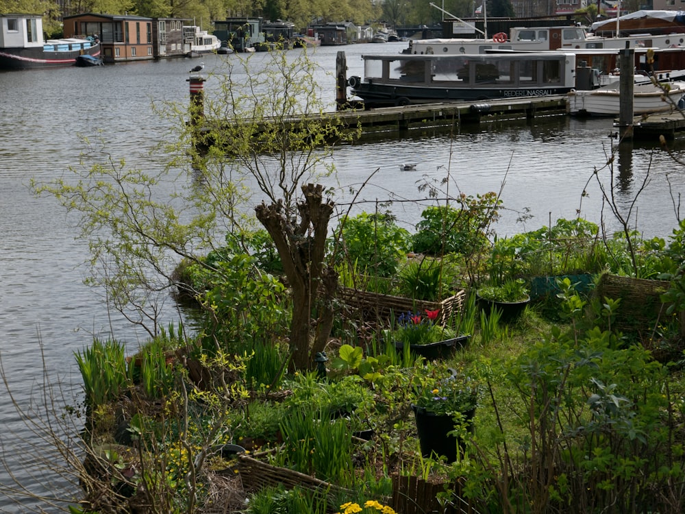 a body of water with a boat in the background