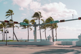 a street with palm trees and street signs