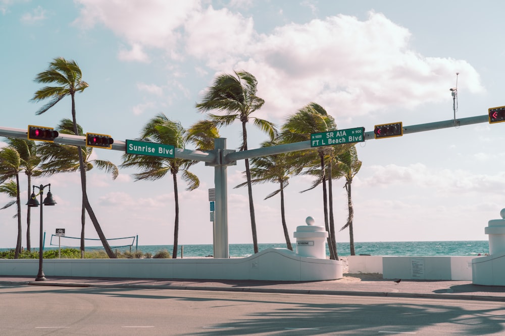 a street with palm trees and street signs