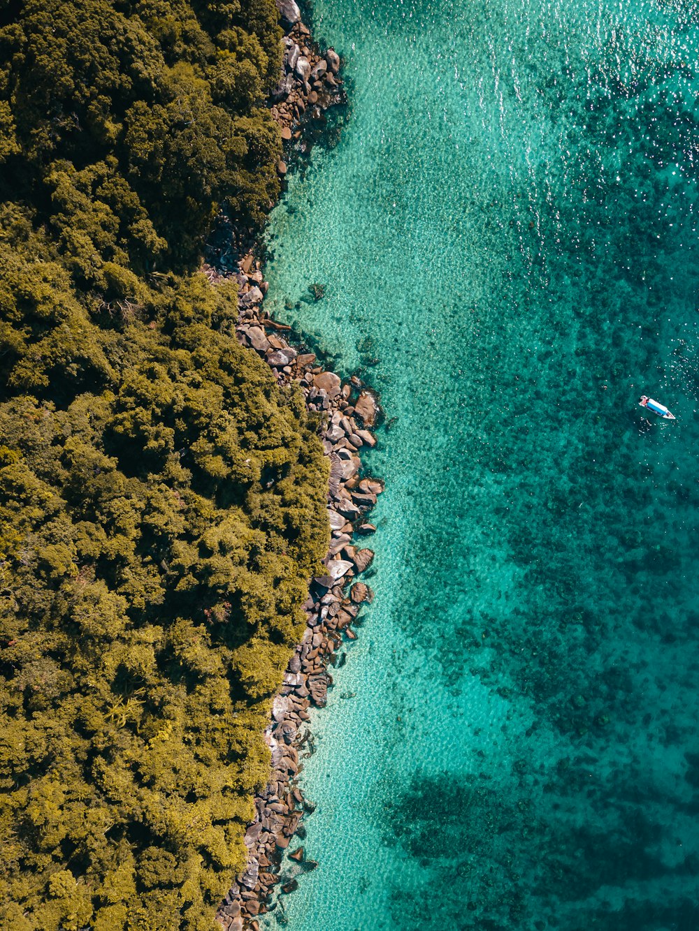 an aerial view of a body of water surrounded by trees