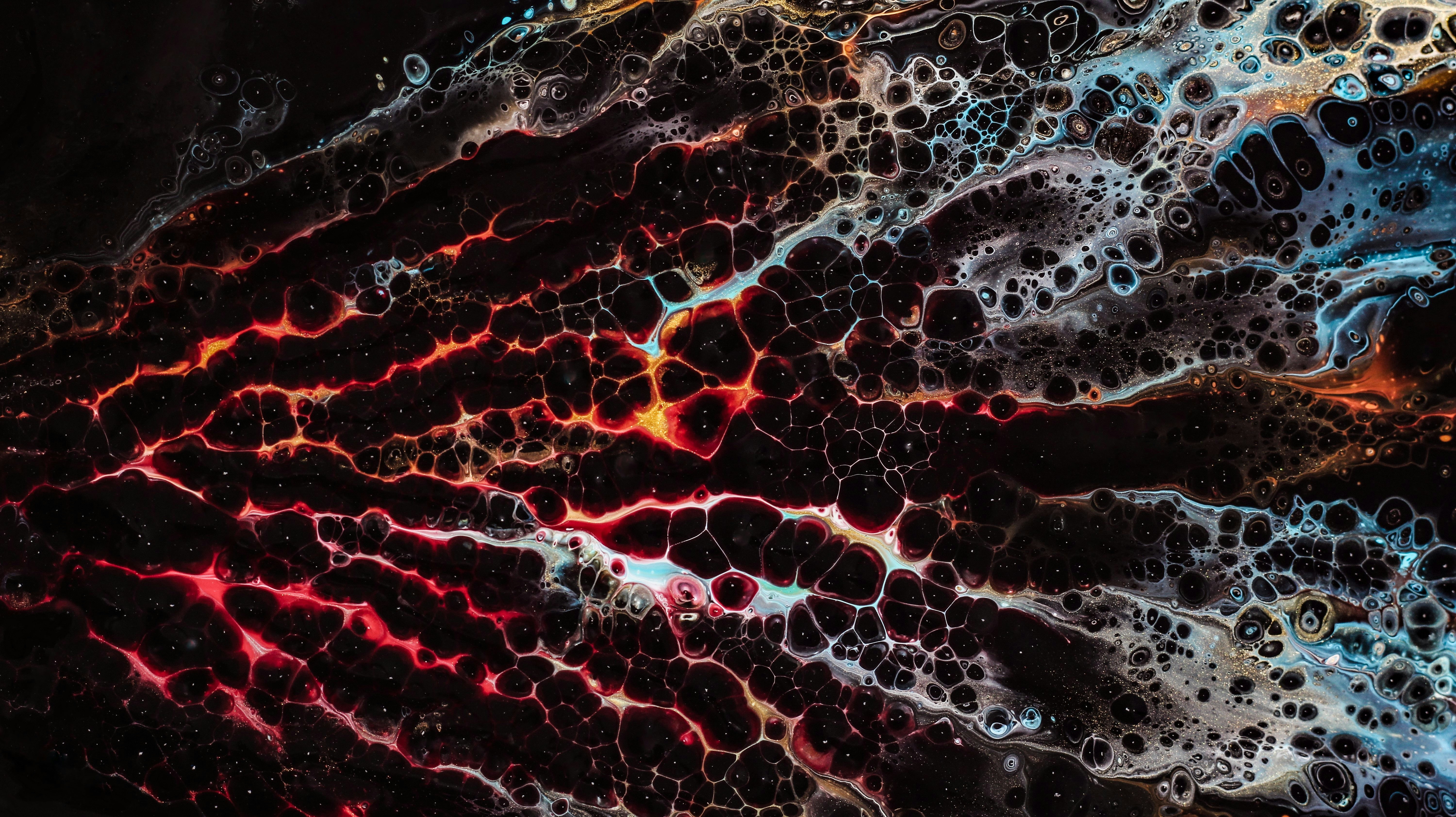 Photo by susan_wilkinson