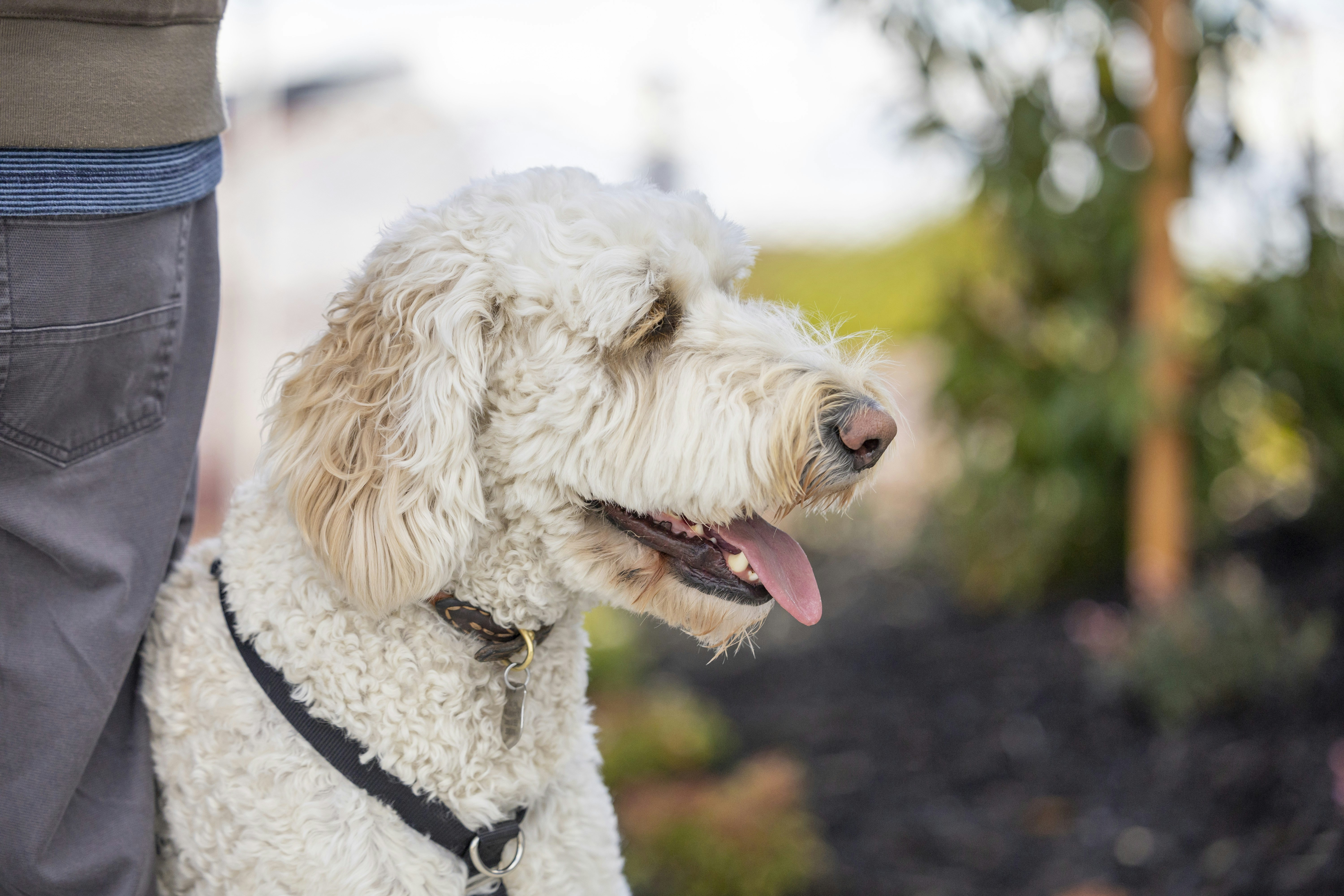 Photo by leo_visions_