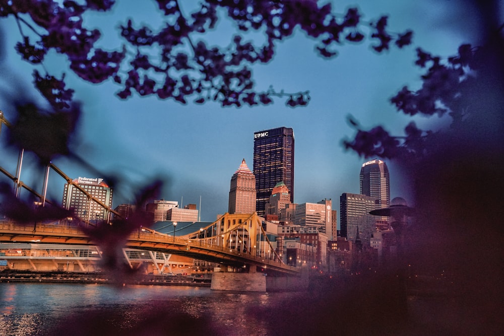 a view of a city from across a river