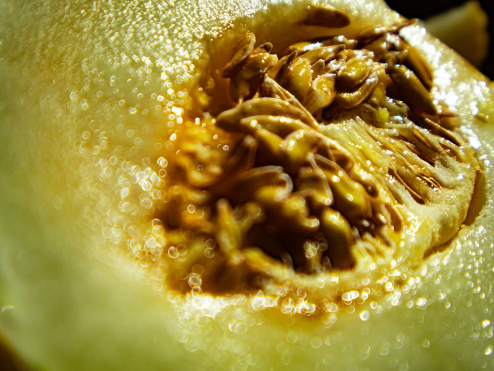 a close up of a piece of fruit with water droplets on it