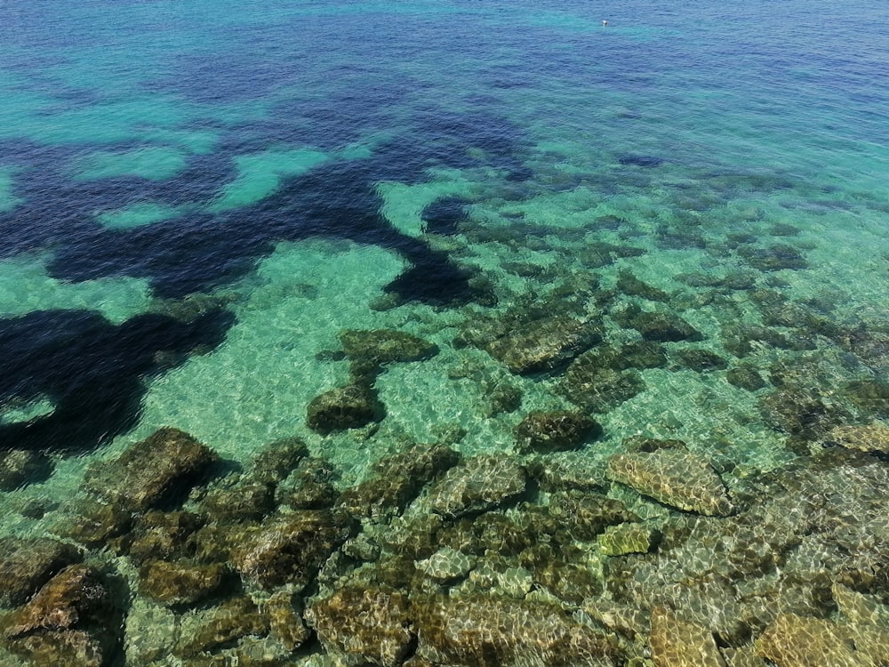 a body of water with rocks in it