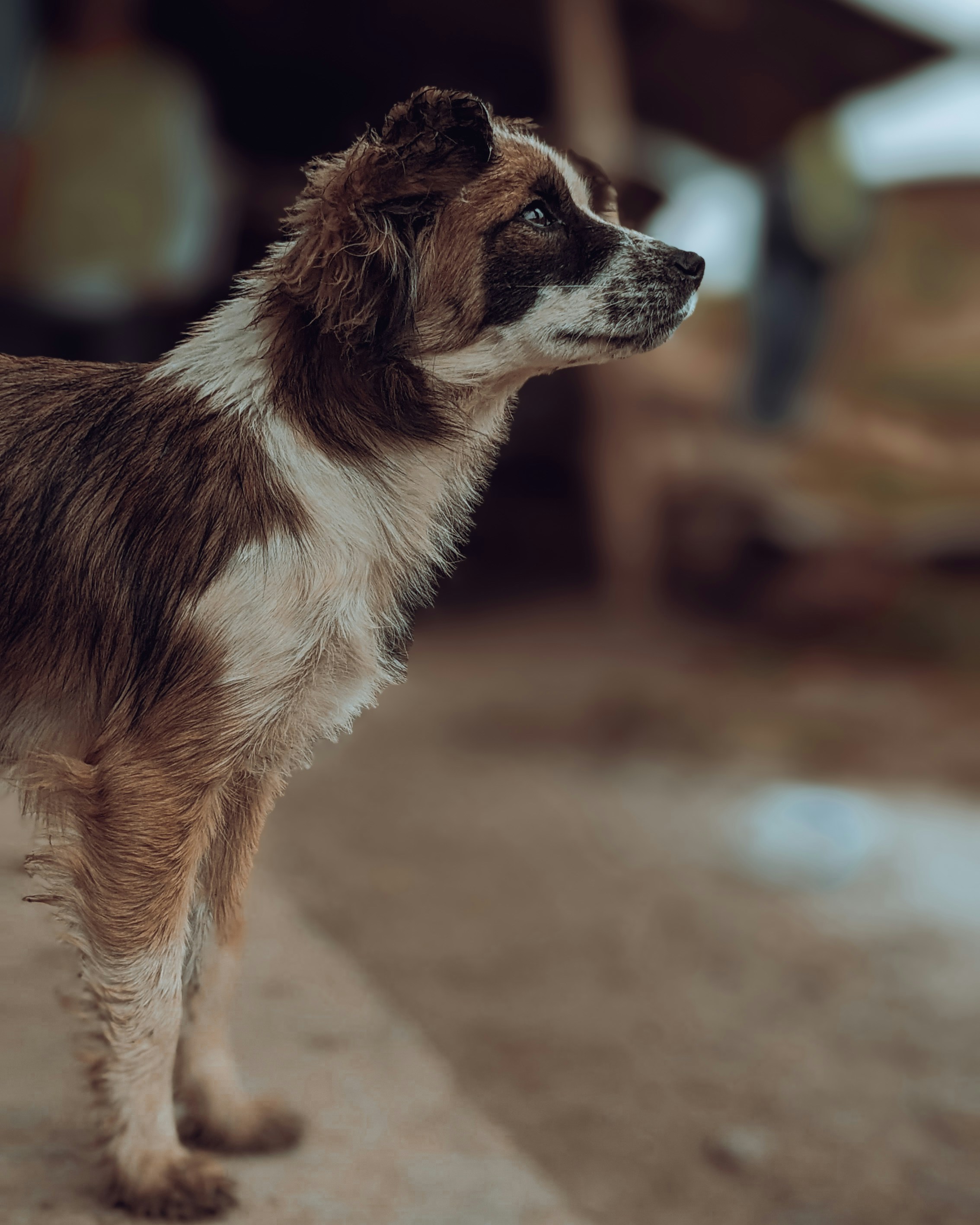 Photo by martinporch