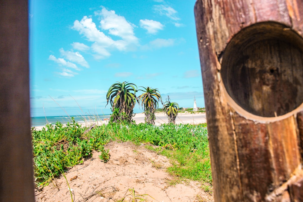 Una vista de una playa a través de un agujero en una valla