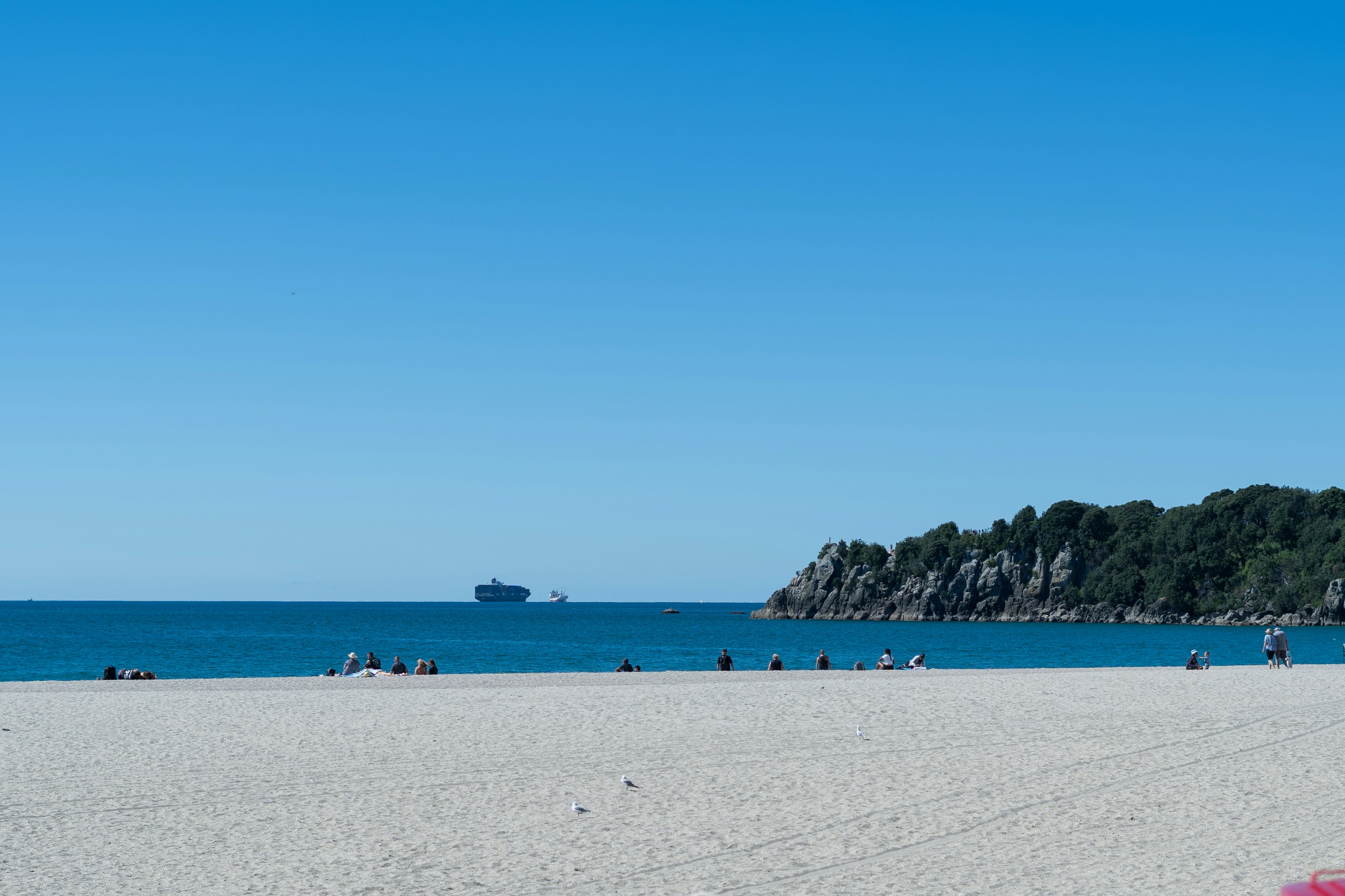 a group of people sitting on top of a sandy beach