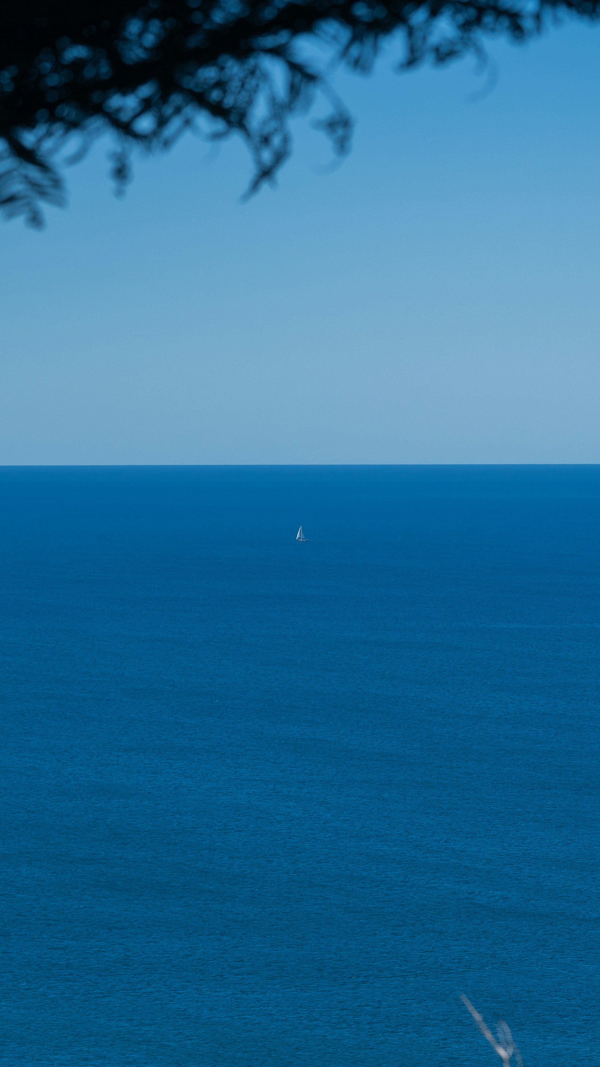 Photo by countingframez