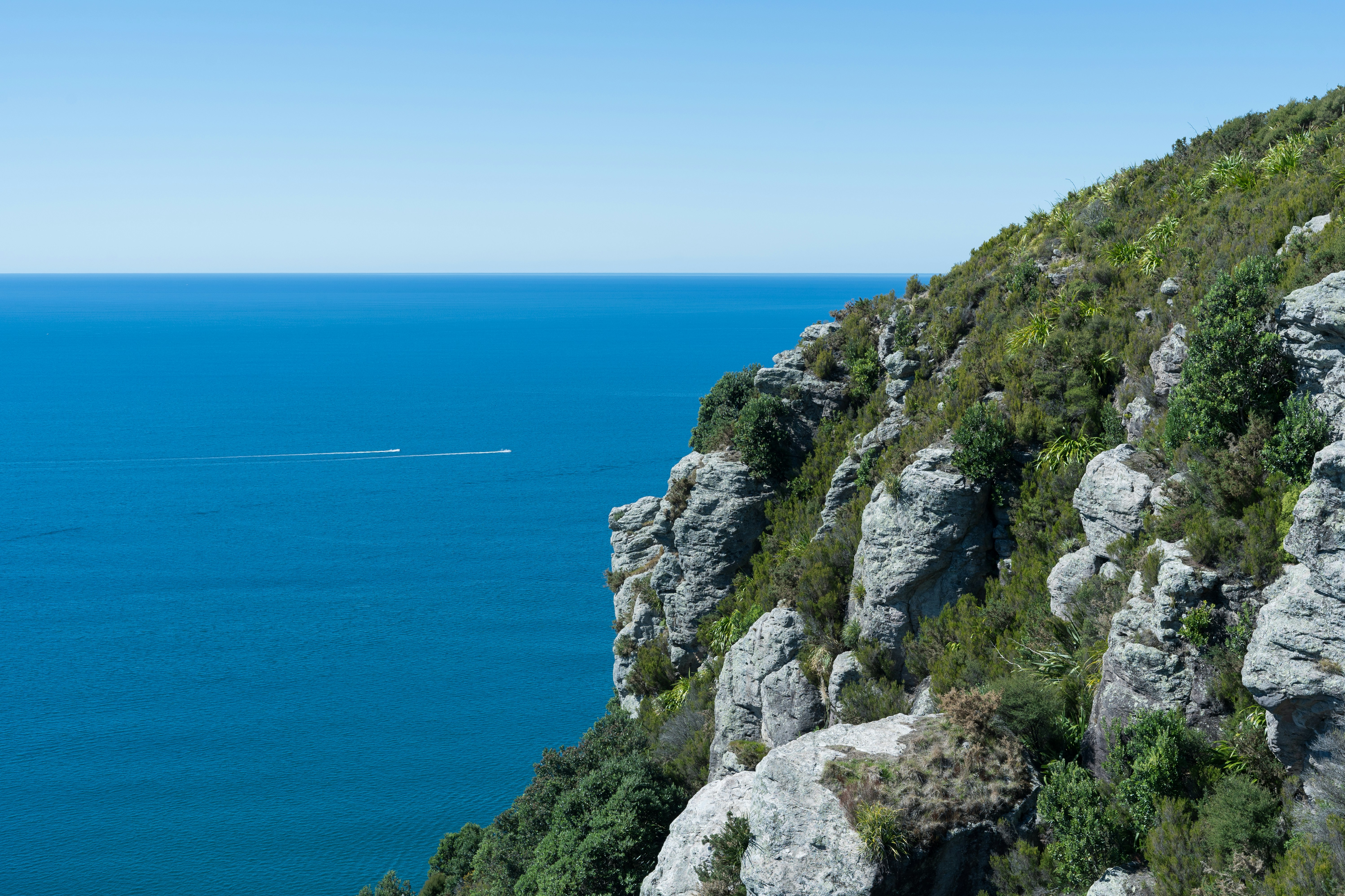 Photo by countingframez