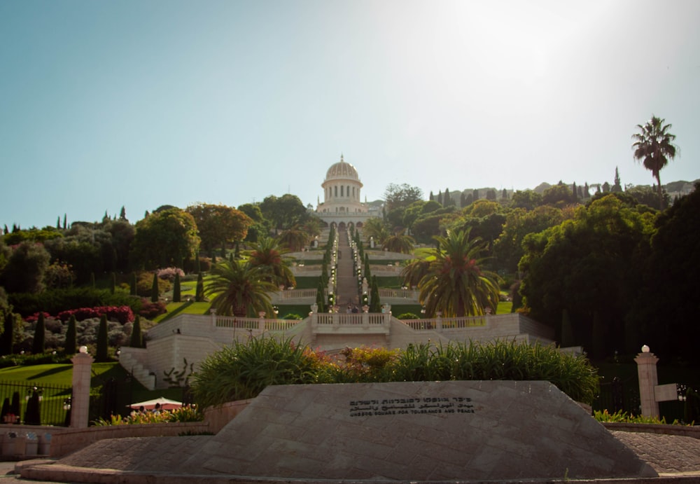 a view of a park with a large building in the background